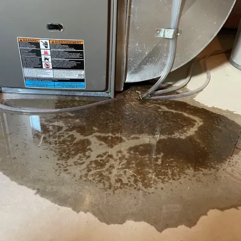 Appliance Leak Cleanup in Lincoln, MA